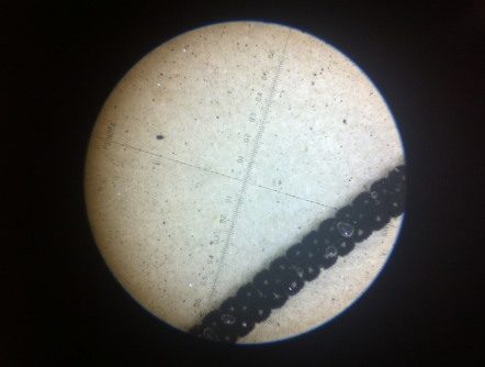 Test membrane after filtration of 10 ml oil