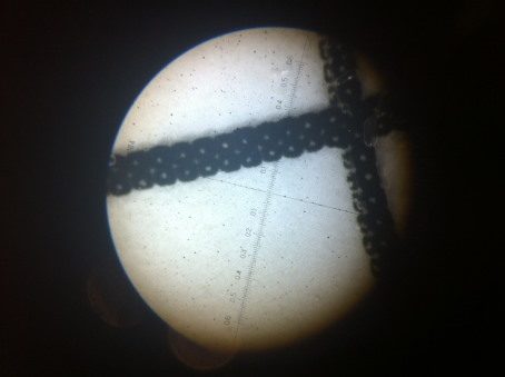 Test membrane after filtration of 30 ml oil