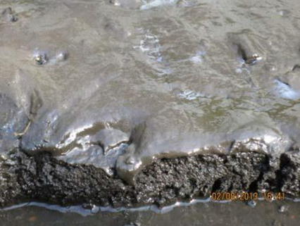 Sediment, 30% dry matter