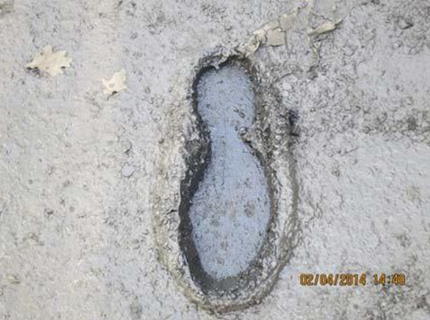 Sediment, 40% dry matter