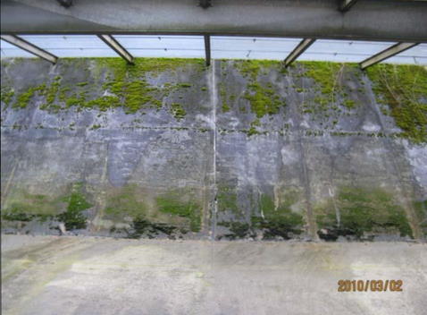 before oil skimmer