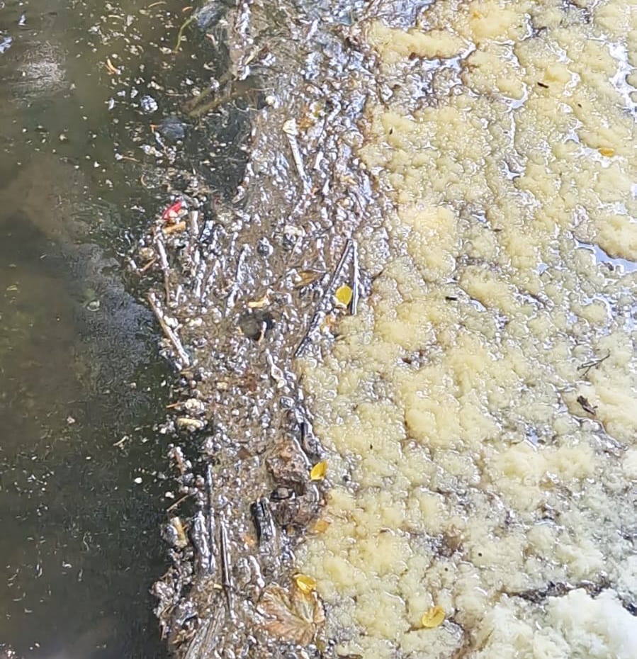 Oil film and foam accumulates at the oil barrier